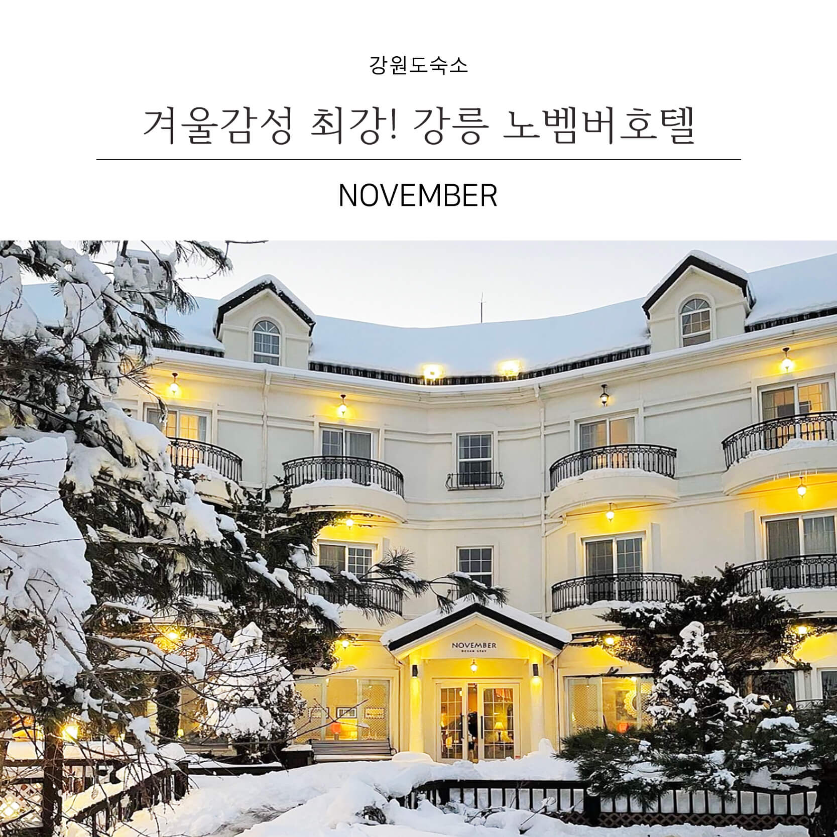 강원도리조트