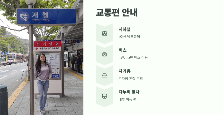 태종대 수국축제 완전 꿀팁 8