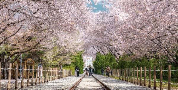 경화역 공원(1)