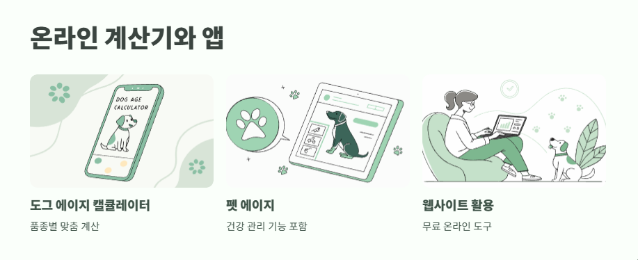 강아지 나이 계산법 완벽 정리 10