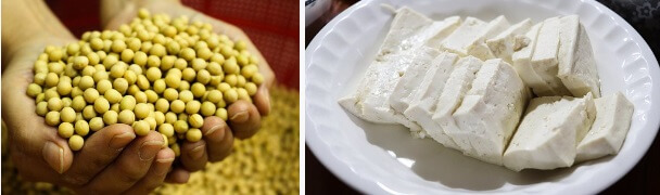 콩-두부