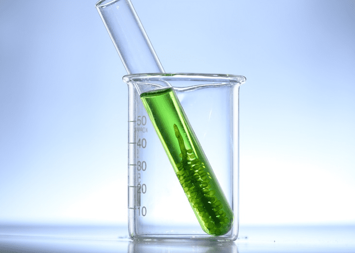 클로렐라 부작용