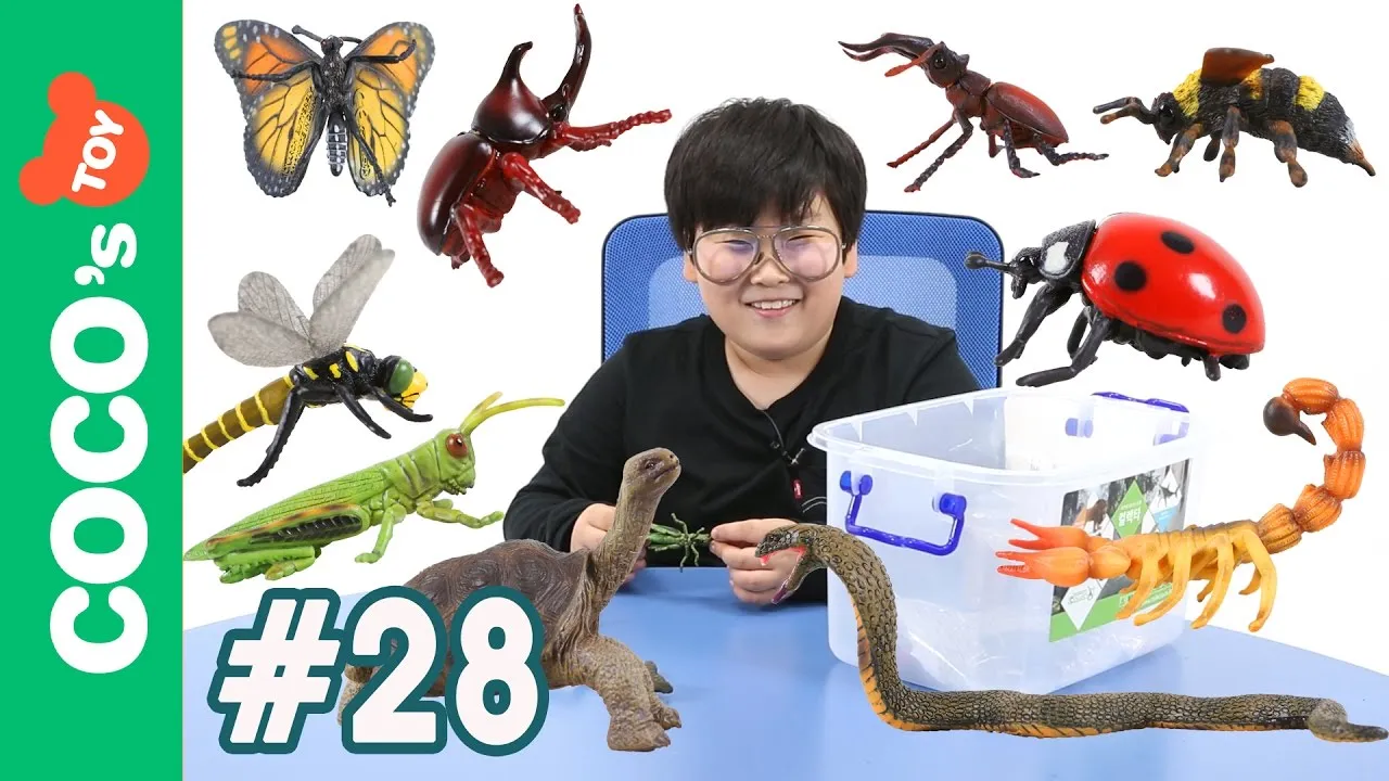 곤충과 동물의 차이점 생물 분류 기준과 이해 돕기_1