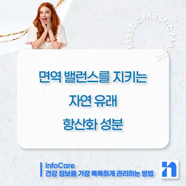 매스틱 매스틱검 효능 효과