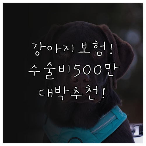 강아지 보험, 수술비 500만원 보장..