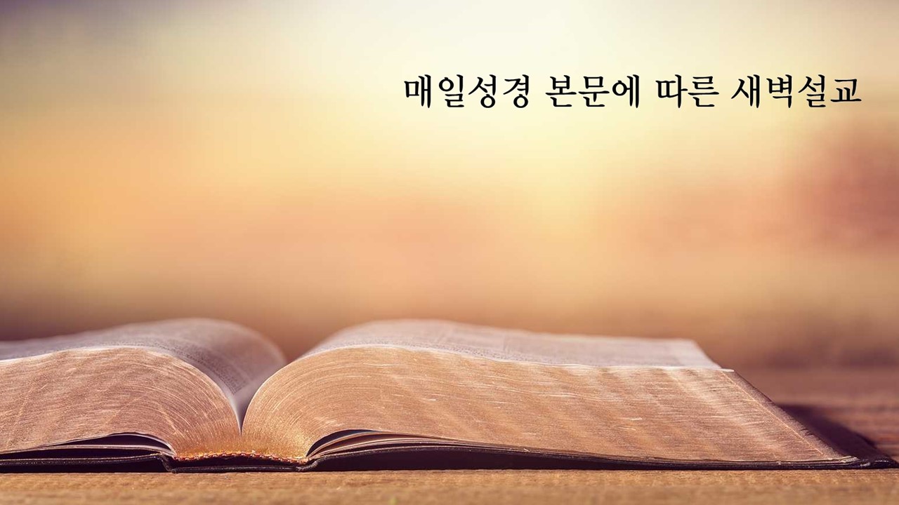 성서유니온,매일성경,오늘의큐티,새벽예배설교,이사야41장,1절20절,안심하라,두려워하지말라,임마누엘,이사야41장10절,붙들리라,도와주리라