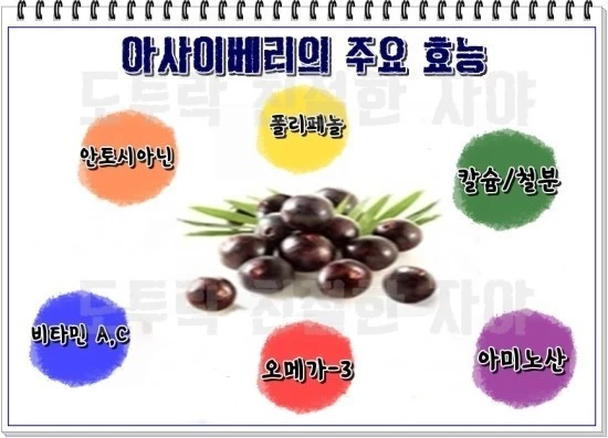 아사이베리의 효능/ 출처 - 네이버블로그[친절한자야의 솔직한 재택부업 이야기 ;)]