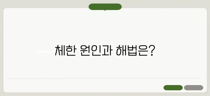 체한 증상 오래갈 때 원인과 해결 방법