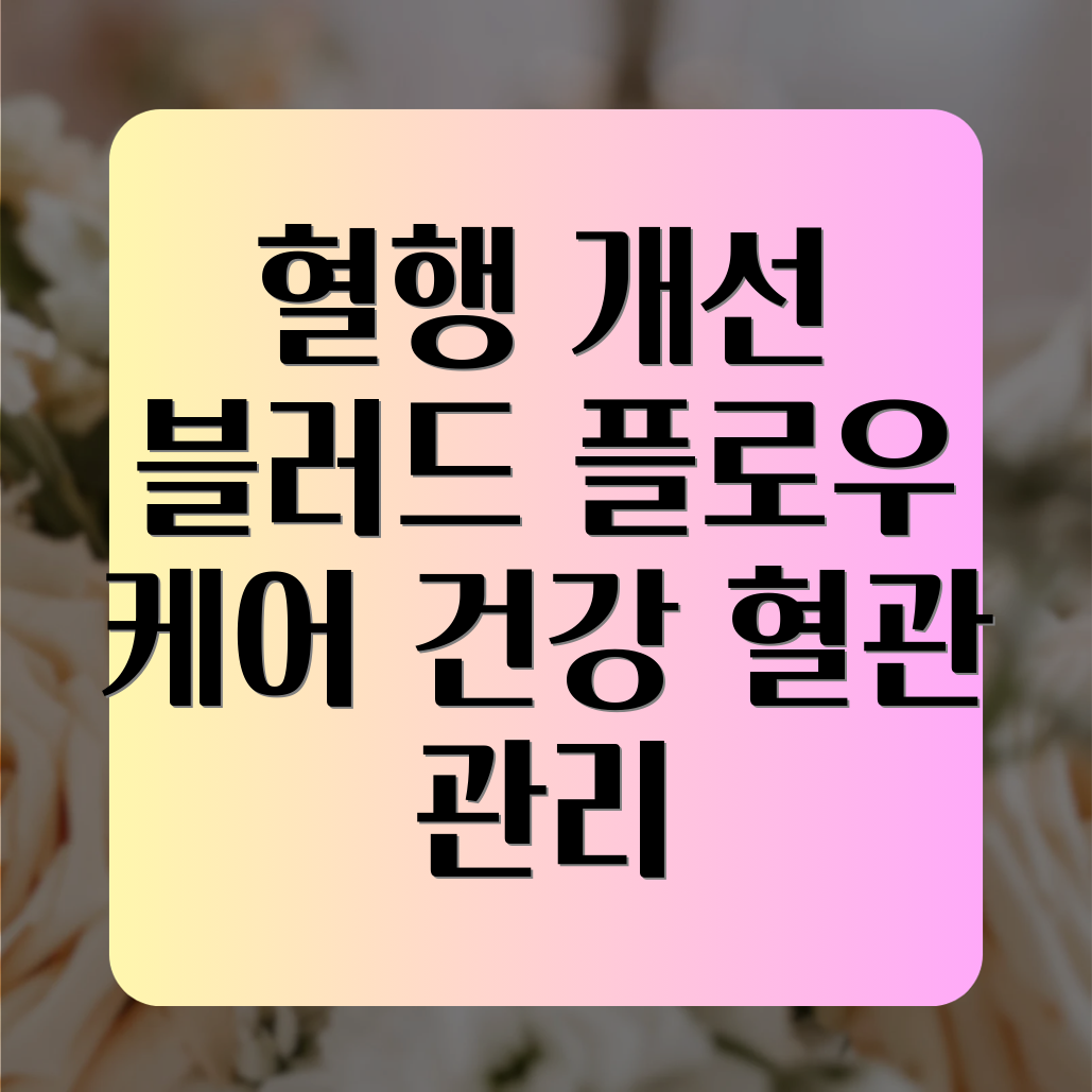혈행 개선