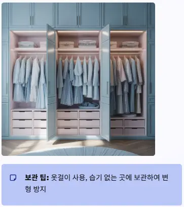 의상 보관법