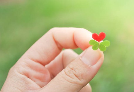 2026년 무료 신년운세