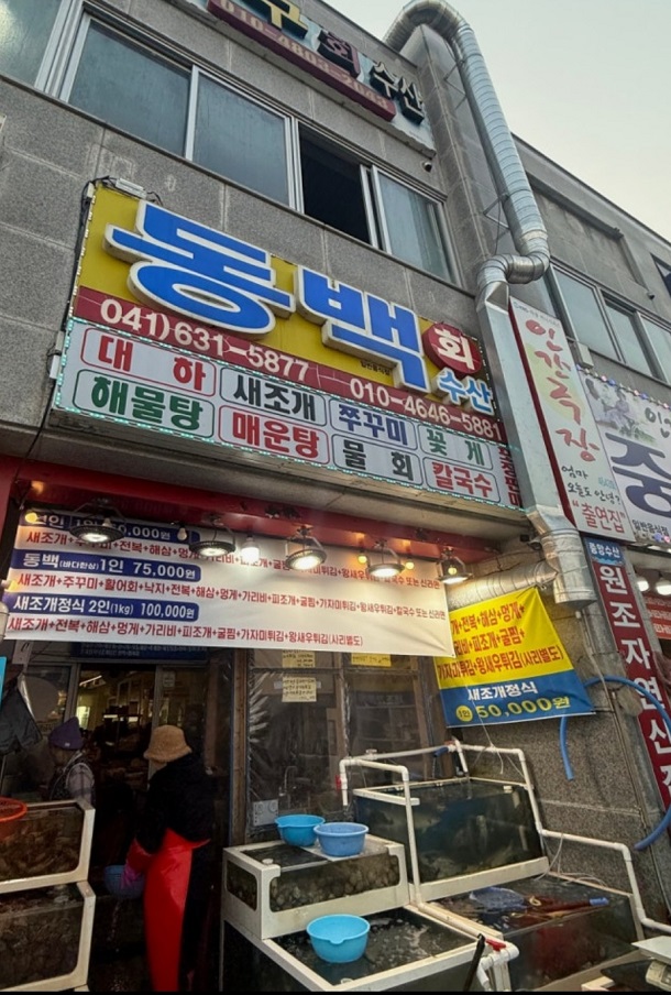 한국인의밥상-남당항-8남매-새조개