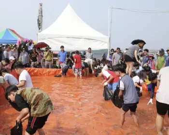 서천 홍원항 자연산 전어 꽃게 축제13