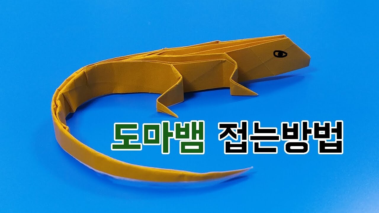 목도리 도마뱀접기