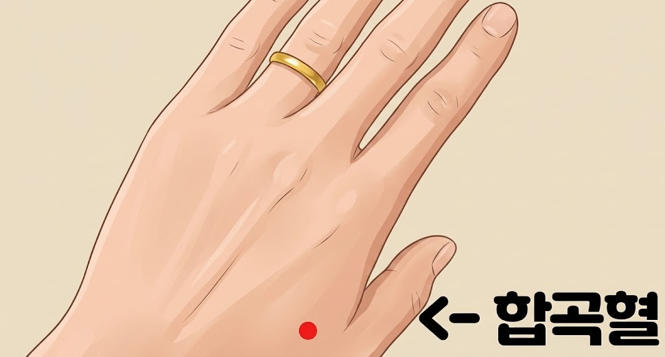 손등 위의 '합곡혈(合谷穴)'