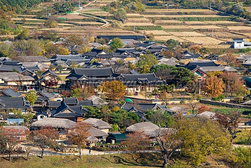 한옥집들 전경
