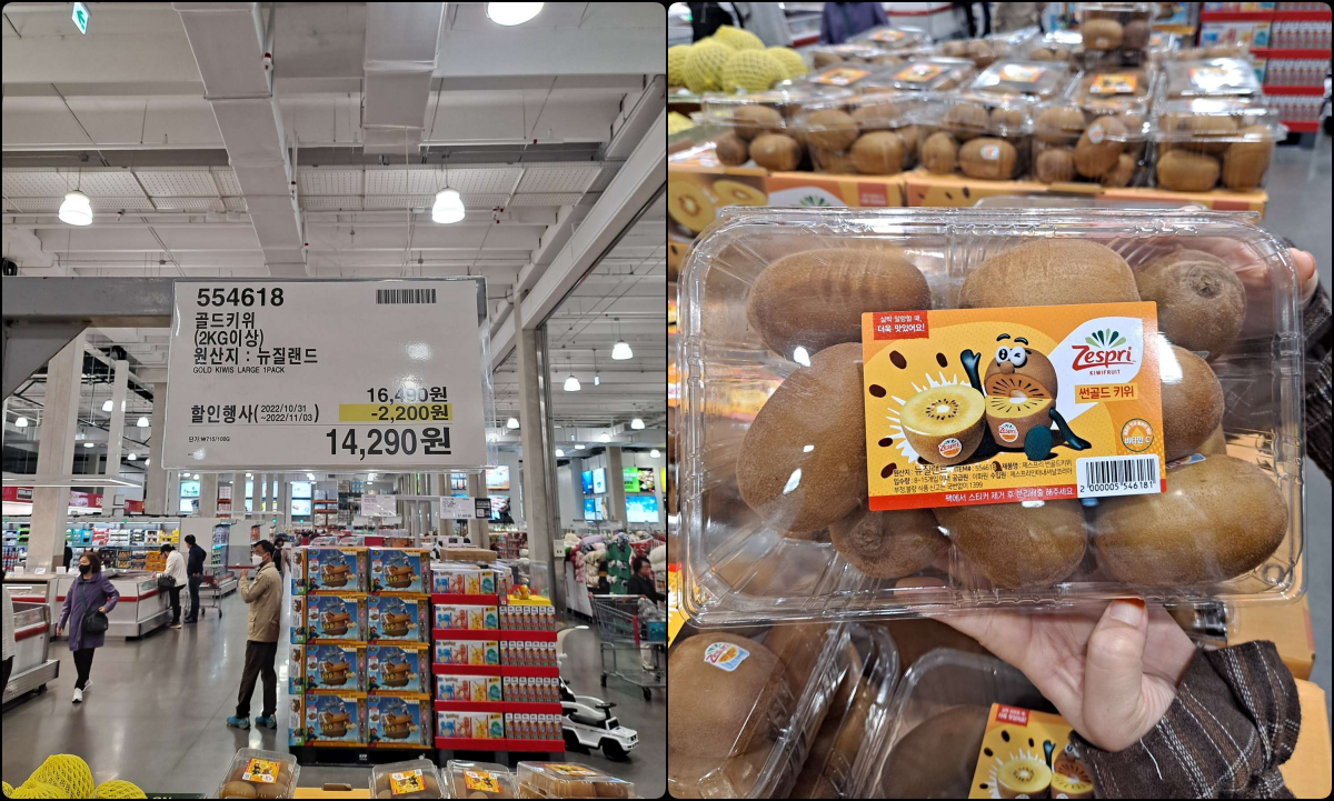 뉴질랜드산 골드키위