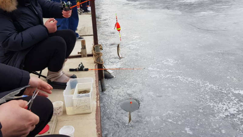 강화 양오낚시터 빙어축제