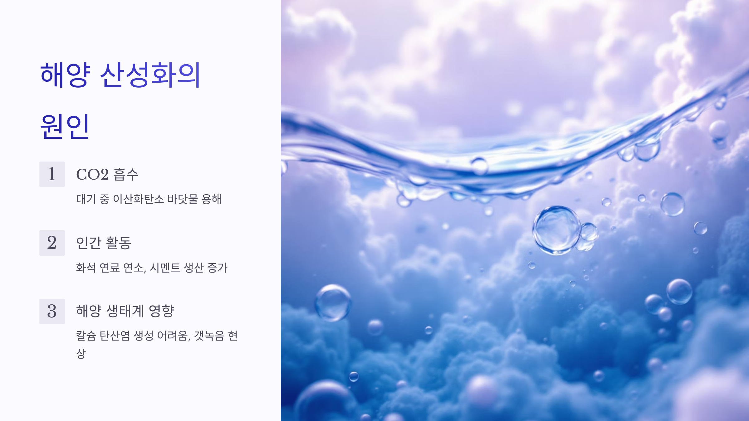 해양 산성화 원인
