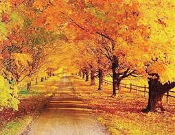 지역별 유명산 단풍 절정