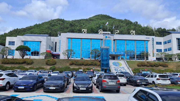 청송군, 산불 복구 위해 체육대회 전면 취소