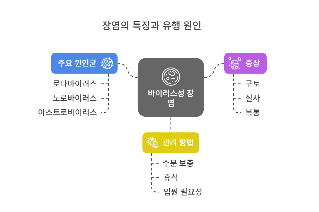 장염의 특징과 유행 원인
