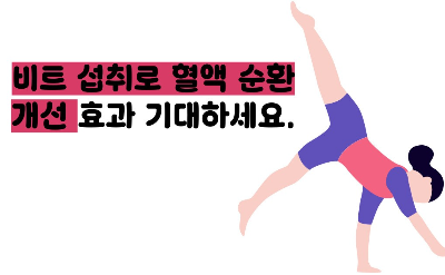 비트 효능 및부작용