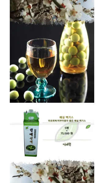 매실액기스 효능 해독 작용 숙취 건강 효과 정리_17