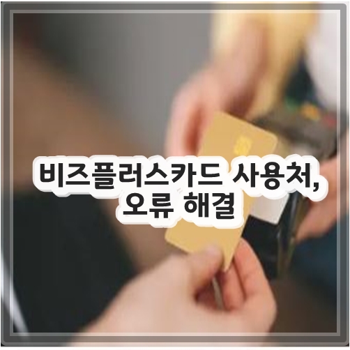 비즈플러스카드 사용처, 오류 해결
