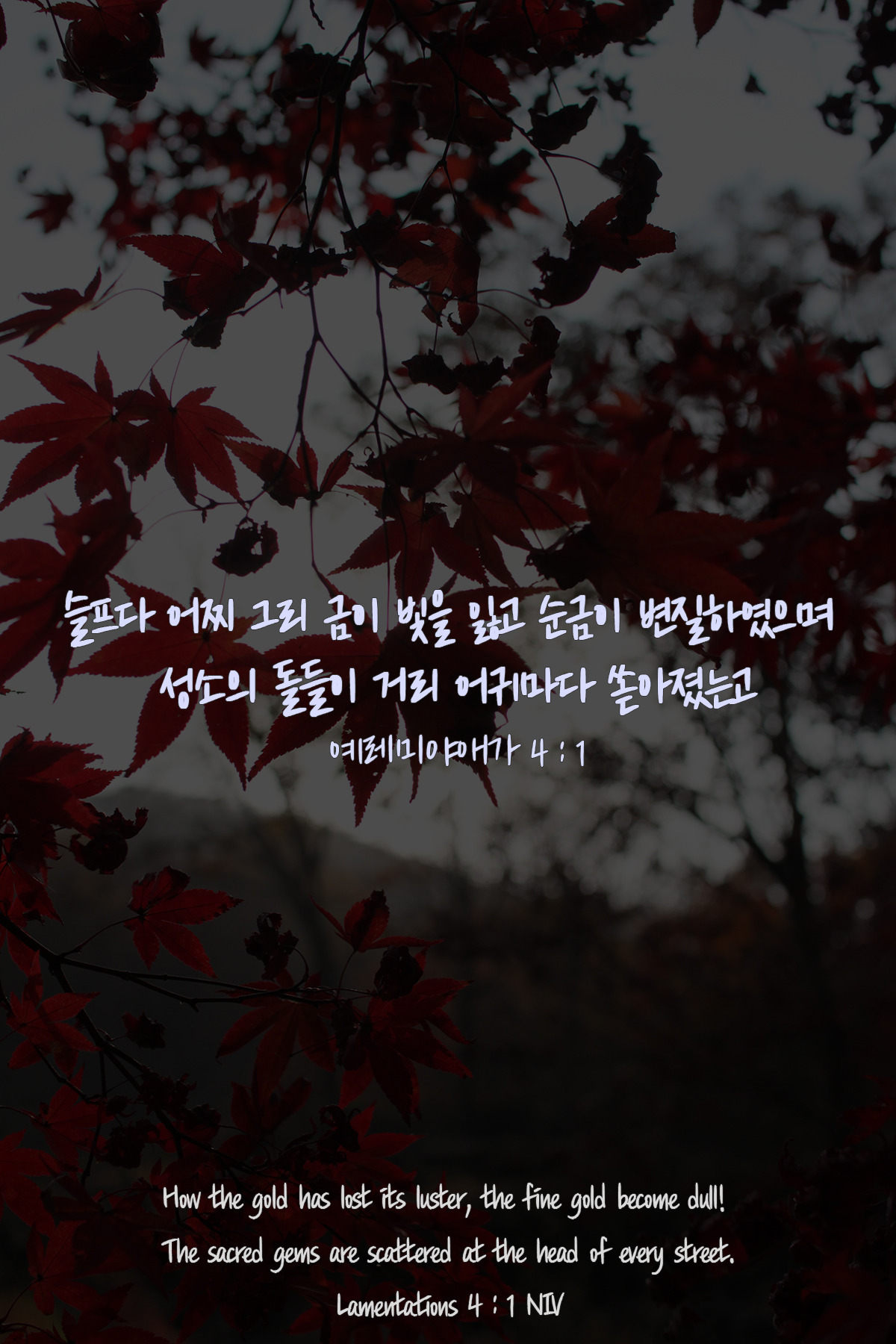 예레미야애가 4장