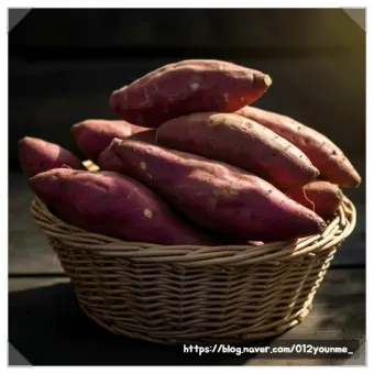 고구마 삶는법 맛있게 황금레시피 효능 칼로리_19