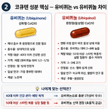 코큐텐-효능-혈압-효과-성분-함량-복용시간-추천-제품