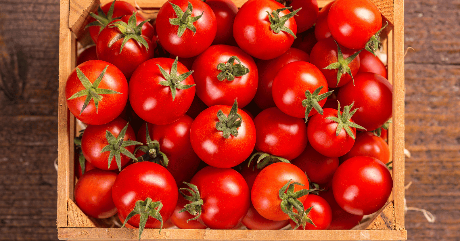 스테비아방울토마토칼로리