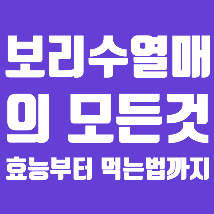 보리수열매