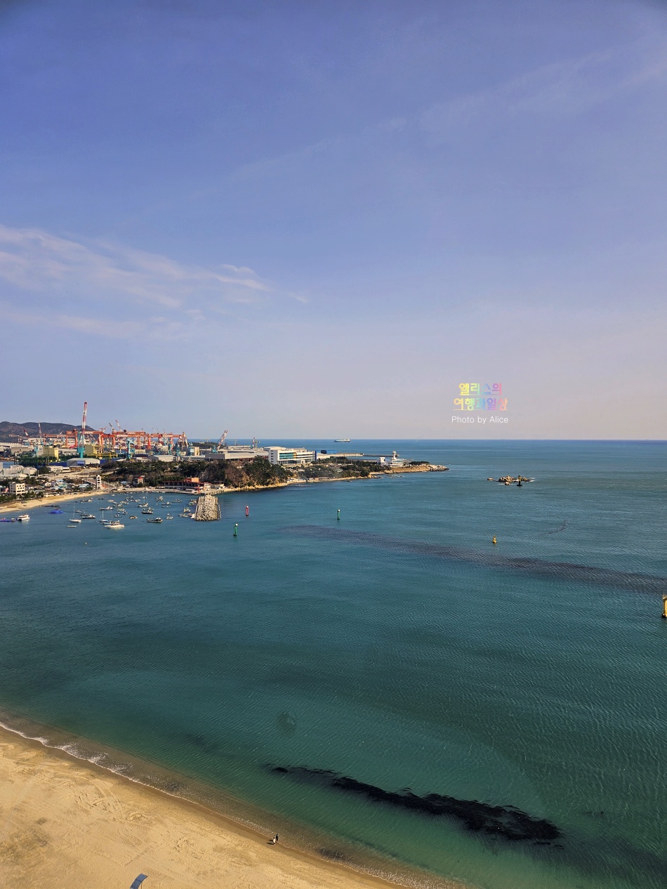 울산 전객실 오션뷰 숙소 타니베이 호텔 디럭스 더블룸 기본 객실 후기 + 조식