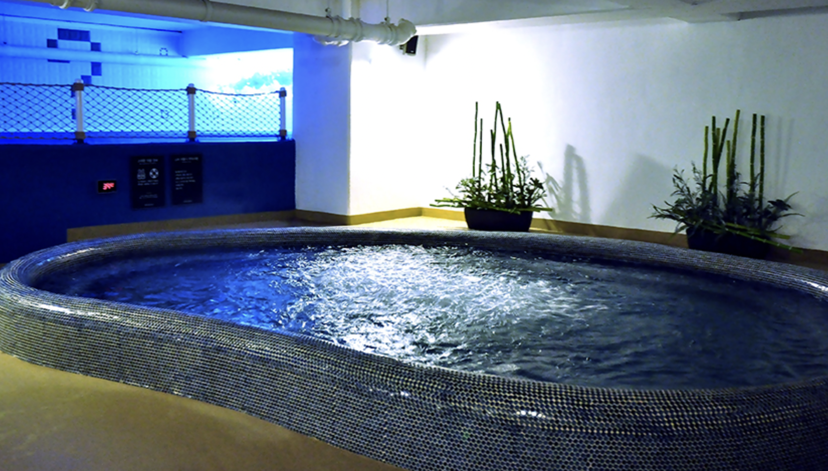 파크하비오워터킹덤워터파크