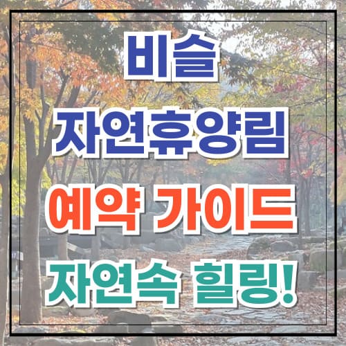 비슬산자연휴양림 예약 가이드 자연 속 힐링