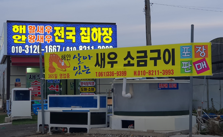 [6시 내고향] 나주 양식 새우 택배주문 나주금천왕새우 판매정보
