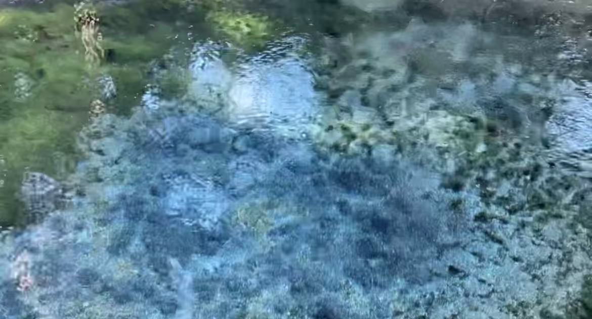 항공 저렴한 구마모토 2박 후 후쿠오카 버스 이동, 사케 성지 방문 후기 관련사진