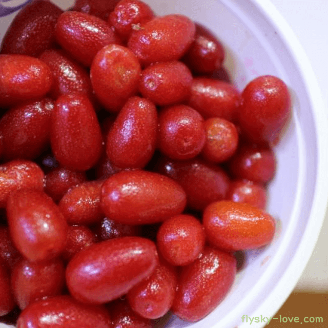 보리수 열매 효능