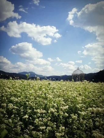 좋은글과 좋은음악이 있는곳_3