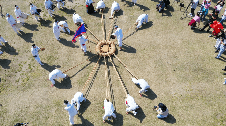 2025 기지시줄다리기축제: 500년 전통의 거대한 협동 문화