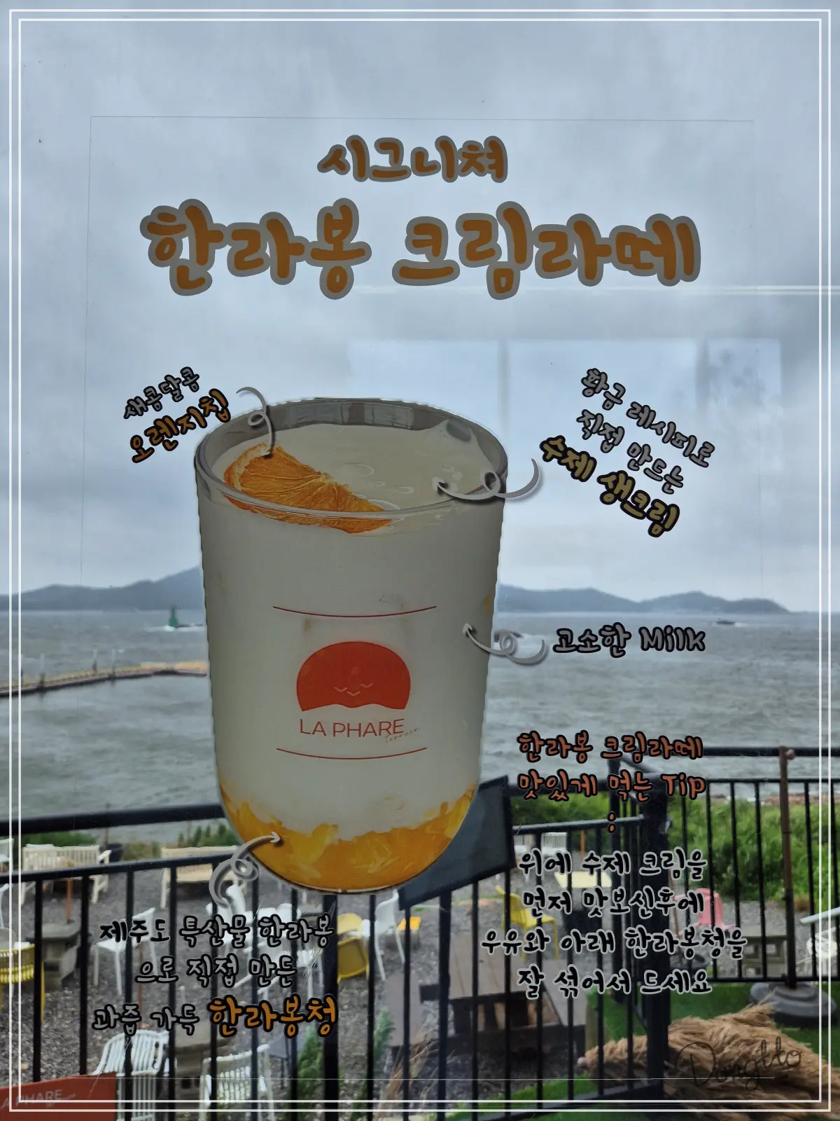 전라도-군산-가족여행-장자도-카페-라파르-시그니처-한라봉-크림라떼