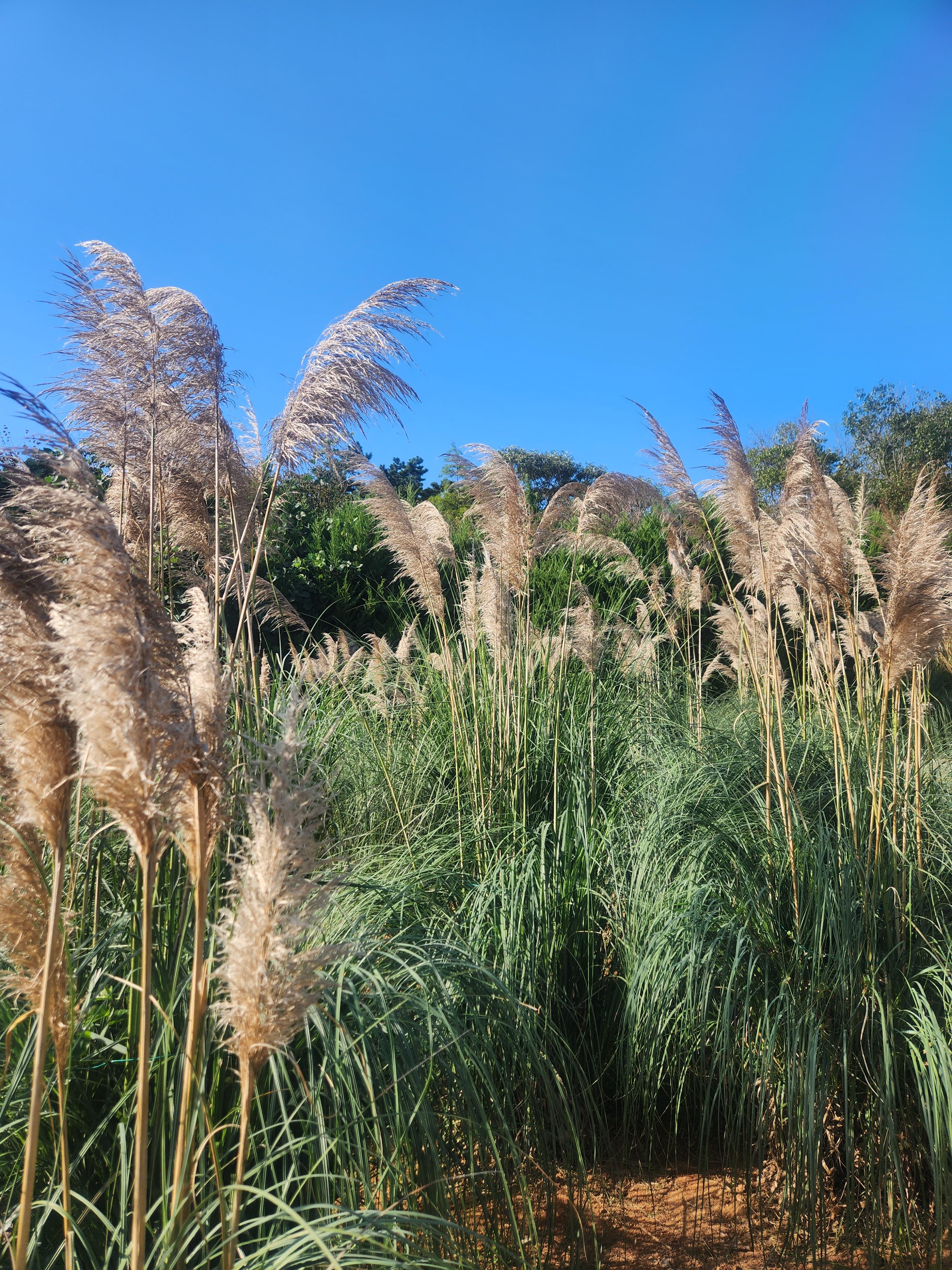 태안가볼만한곳