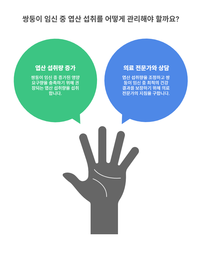 쌍둥이 임신, 왜 엽산이 더 중요할까요?