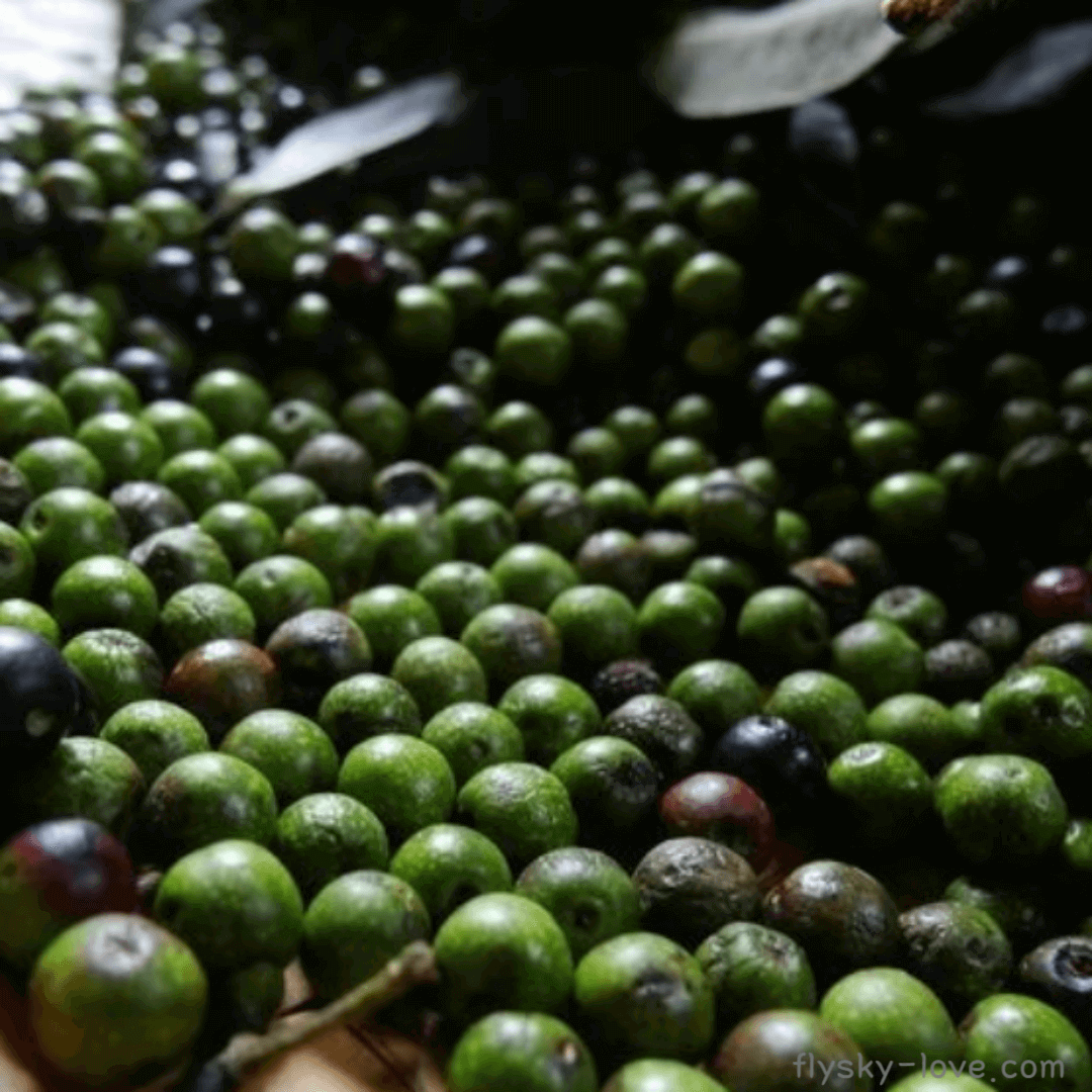 메이창 (May chang), 메이창 오일