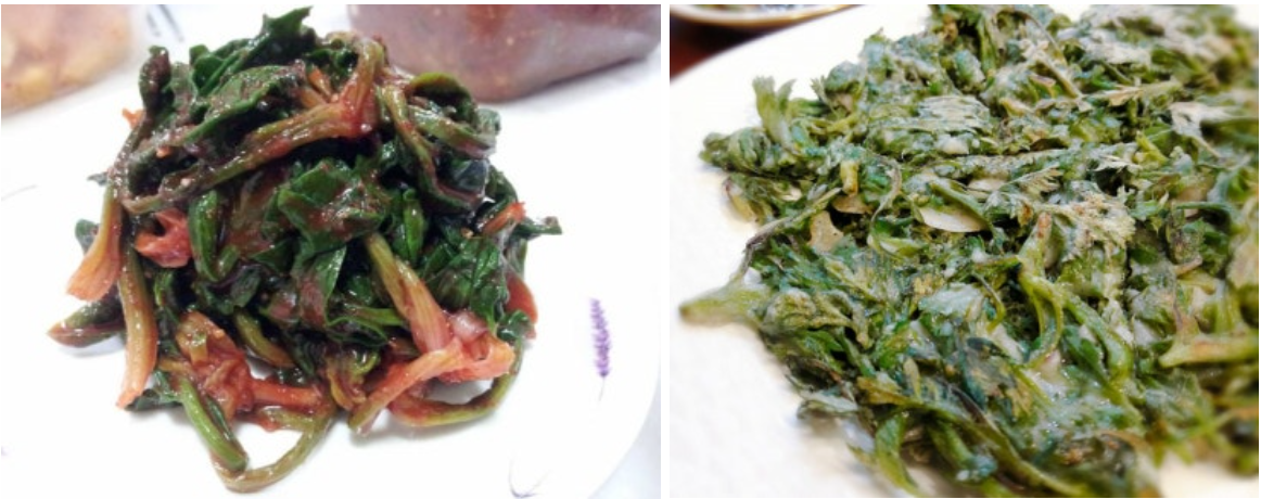 옥살산 정말 궁금해 시금치 쑥