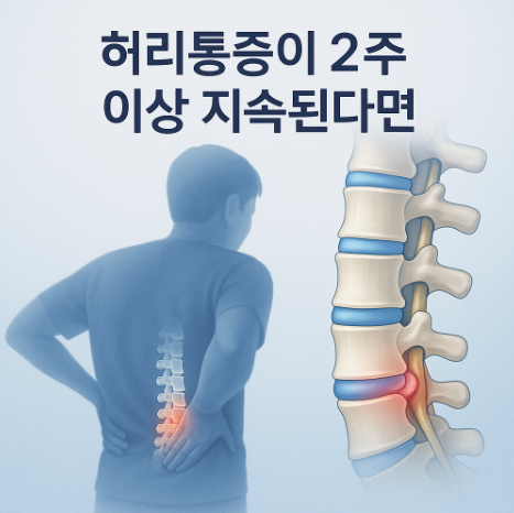 허리통증의 원인과 허리디스크 초기증상