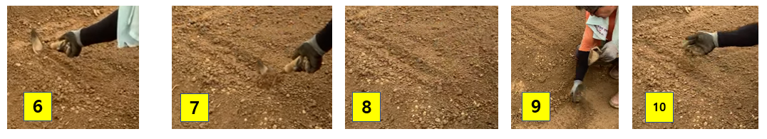 호미의 D 부분을 사용하는 방법을 그림 6, 7, 8, 9, 10의 순서대로 나타내었다.