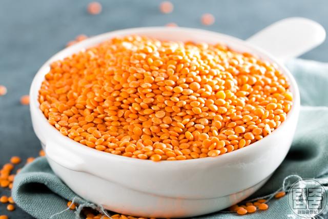 석회성건염에 좋은음식,석회화건염 좋은음식,렌틸콩,팁줌